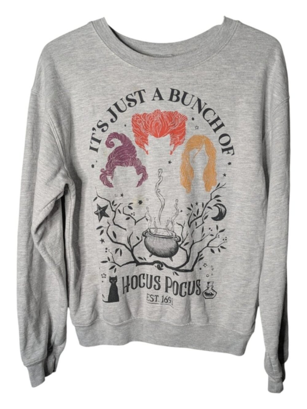 Disney Grey It’s Just a Bunch of Hocus Pocus Graphic Sweatshirt Size Small